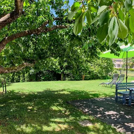 Perle-lollipop By Interhome * 布莱