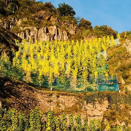 Apartment Perle-lollipop By Interhome *