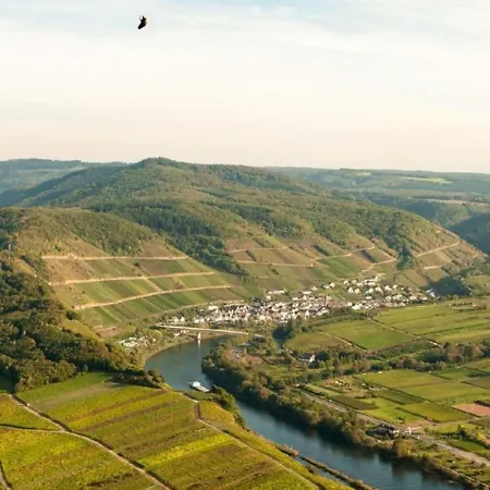 Apartment Perle-lollipop By Interhome Bullay