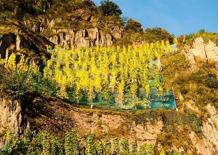 公寓 Perle-lollipop By Interhome *